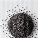 Biji chia hitam