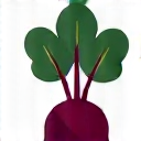 Ilustrasi ikon beetroot