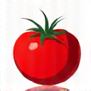 Ilustrasi ikon tomato